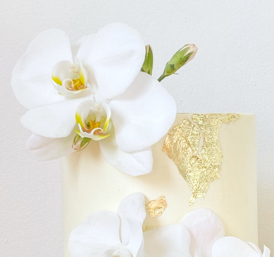 The orchid