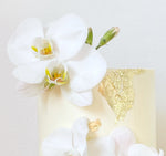 The orchid