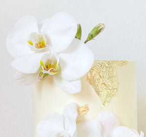 The orchid