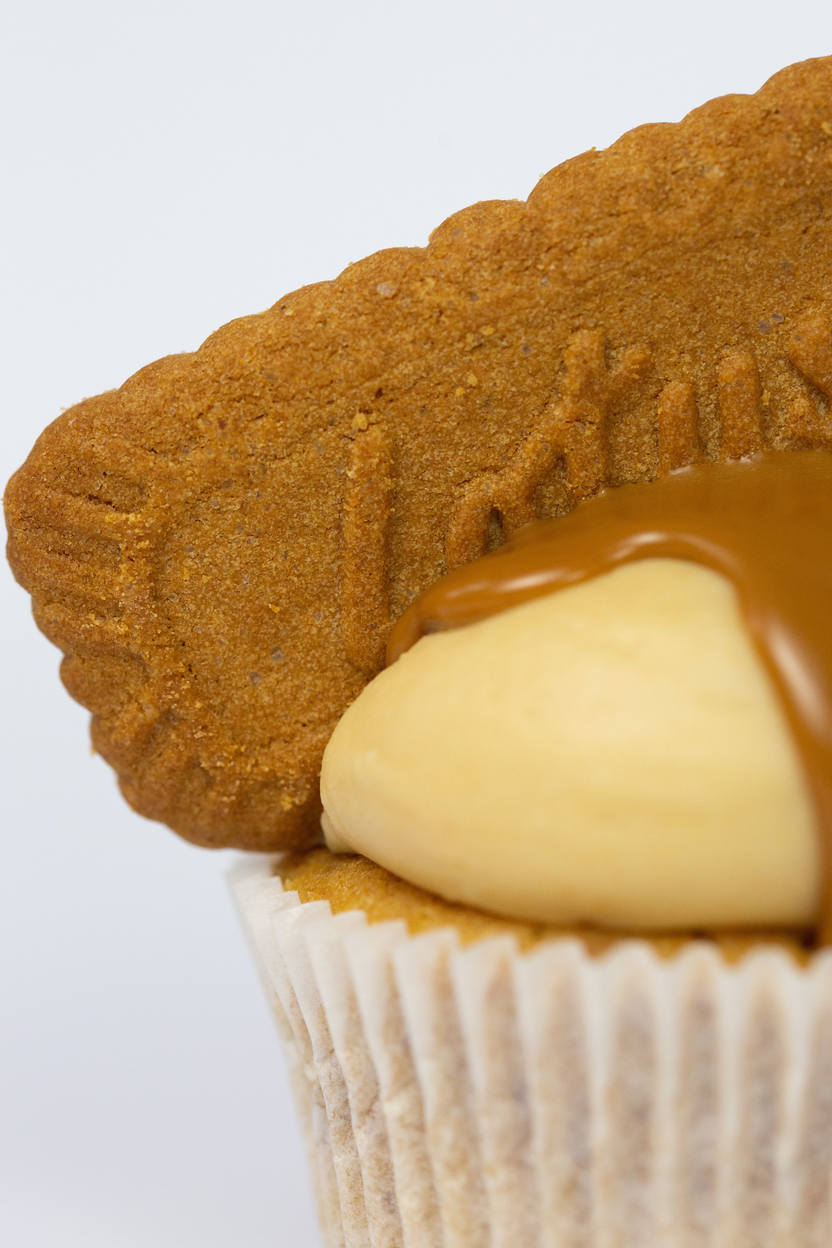 Biscoff cheesecake cupcake